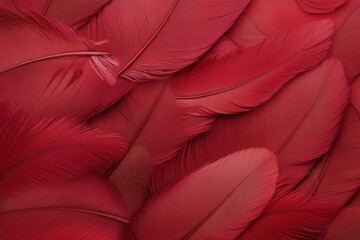 Vibrant red feathers create a striking texture and depth in intricate arrangement