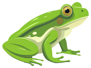 PNG Frog amphibian wildlife animal.