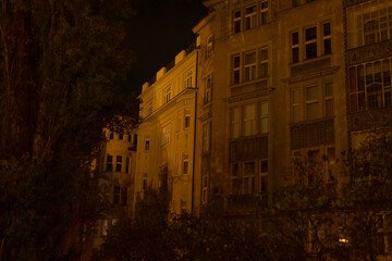 A somewhat unclear and blurry image capturing a building during the night, with trees prominently positioned in the foreground area of the scene