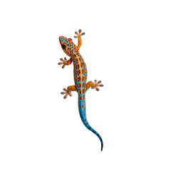 Colorful gecko climbing on a transparent surface in a playful pose