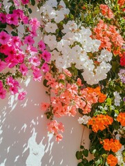 Colorful Flower Wall
