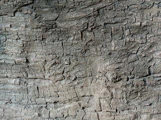 Close-up of a textured concretestone surface with visible cracks, uneven and irregular in shape and size Muted color palette, dominated by dark gray tones No identifying marks or context