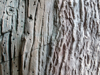 Obraz premium An abstract, textured image reminiscent of a miniature forest or sea, with depth and layers suggesting map-like qualities The muted color palette lacks distinct elements