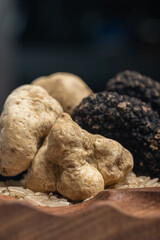 Whole Fresh Black and White Truffles on restaurant background