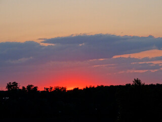 A rotated landscape image of a tranquil sunset with vibrant pink, orange skies and silhouetted trees