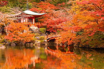 Autumn at daigoji temple with colorful of maple trees in autumn season at Kyoto ,Japan