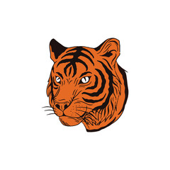 tiger