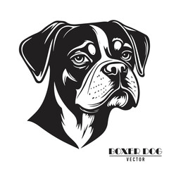 Boxer Dog Vector illustration, Boxer Dog Vector on White Background