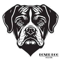 Boxer Dog Vector illustration, Boxer Dog Vector on White Background