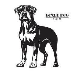 Boxer Dog Vector illustration, Boxer Dog Vector on White Background
