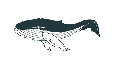 silhouette of a Whale