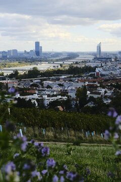 Genussberg, Vienna, Austria. 