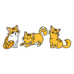 cat and mouse