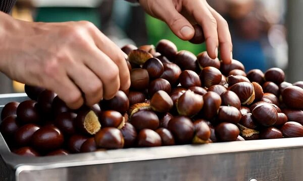 Roasted chestnut stand.