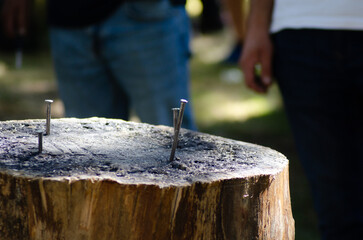steel spikes stuck in the stump of a tree, traditional game in the north of portugal