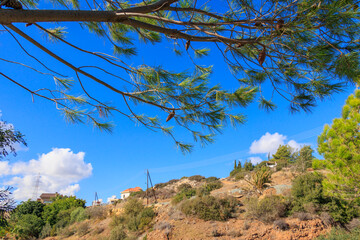 Landscape near the city of Larnaca on the island of Cyprus in Greece on a day in November with blue sky
