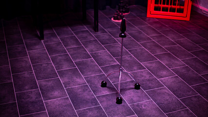 BDSM Thron der Herrin und Buttplug