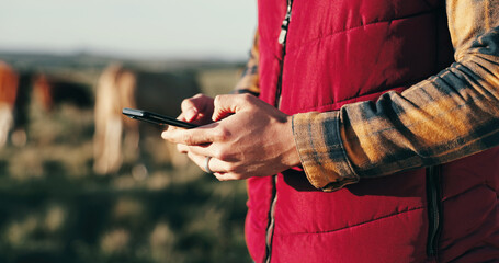 Outdoor, person and farmer on smartphone with livestock on website for agriculture funding or loan...