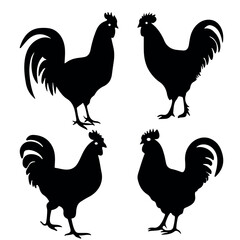 Chicken Silhouette