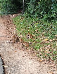 The road is crooked like a winding ranch.

