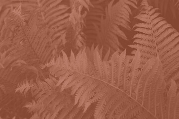 Mocha Mousse beautiful view of fern plant in monochrome color. Forest Mocha Mousse colored fern plants. Trendy color 2025