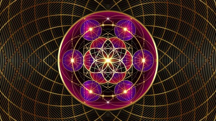 Video animation kaleidoscope Metatron's Cube, Flower of Life. Golden Sacred geometry, graphic geometric torus, black background. Mystic gold icon platonic solids, abstract geometric, crop circle