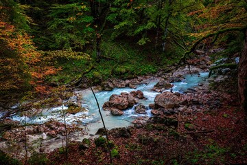 Höllentalklamm, a deep gorge in Alpen near Garmisch-Partenkirchen in Germany.