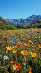 Fototapeta premium Colorful wildflower field in a mountain setting during a clear sunny day