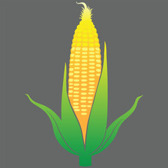 Obraz premium Corn Colorful Vector Illustration Design (Version: 01)