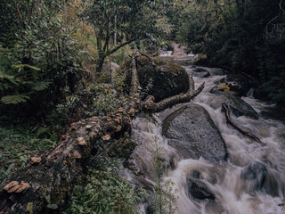 Rochas e cachoeira, natureza da serra da Mantiqueira.