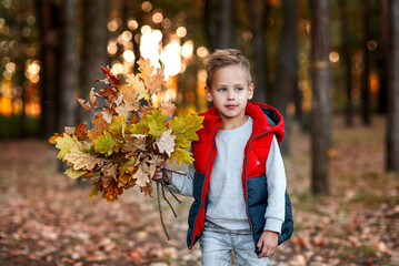 Little boy in the forest with leaves in hand