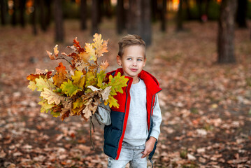Little boy in the forest with leaves in hand