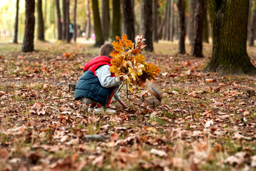 Little boy in the forest with leaves in hand