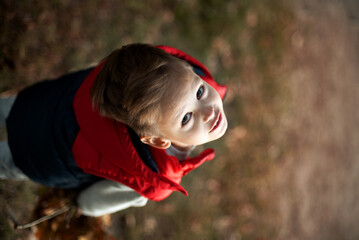 Little boy in the forest with leaves in hand