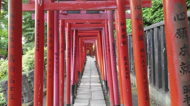 A Scenic Torii Gate Pathway That Is Beautifully Surrounded by Lush Nature and Greenery