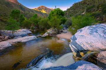 Sunrise peaceful desert landscape showcasing a gentle stream flowing near trees amidst rugged canyons. Captures the harmony of water and arid terrain, creating a vibrant tranquil atmosphere.