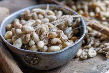 Close view of silkworm cocoons in a plate.