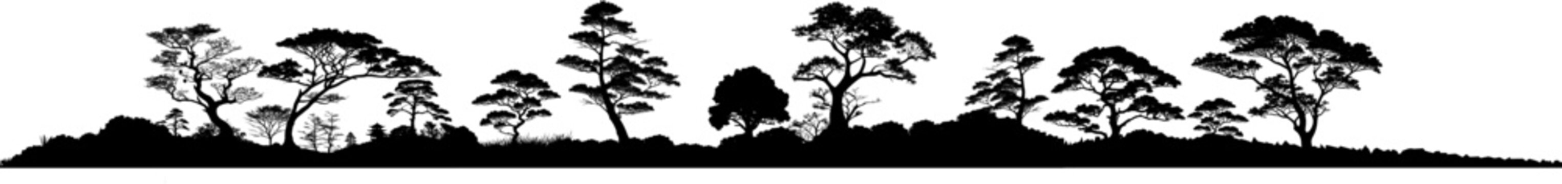 Vektor Silhouette Panorama B&auml;ume und B&uuml;sche - Landschaft in Asien - Japan China Natur - Wildnis - Design Element isoliert