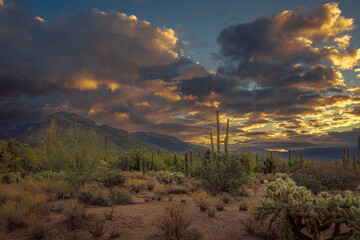 A breathtaking view of a desert landscape during sunset, featuring saguaro cacti, dramatic clouds, and vibrant colors. The scene showcases the beauty and serene atmosphere of the southwestern USA.
