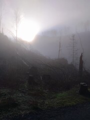 beautiful nature of bohemian switzerland national park