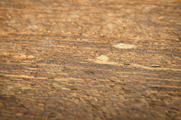 The wood grain is rough and uneven, with many small holes and marks