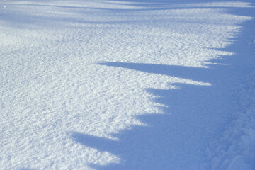 snow surface with shadow in sunny winter day