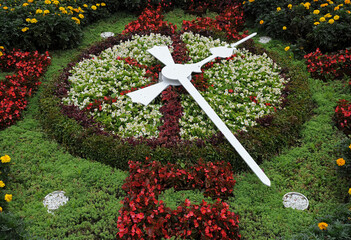 Flower clock in summer