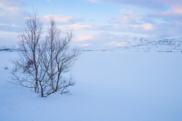 morning mood in sweden