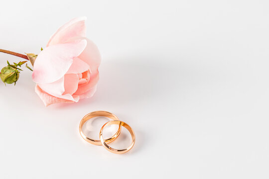 Elegant wedding rings and pink rose on white background