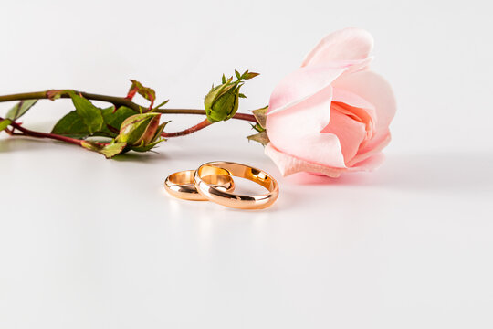 Elegant wedding rings with delicate rose on white background