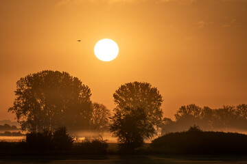 Obraz premium Herbstzauber am Stausee Kelbra (Thüringen, Deutschland). Die aufgehende Sonne taucht die Landschaft in ein goldenes Licht. Nebel liegt auf den Wiesen.