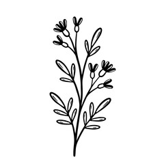Branch of a plant with flowers and leaves. Hand drawn vector illustration isolated on white background.