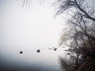 The bank of a foggy river with leafless trees growing on it. Very thick fog over the river