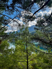 mountain river flow of water big stones. High quality photo
